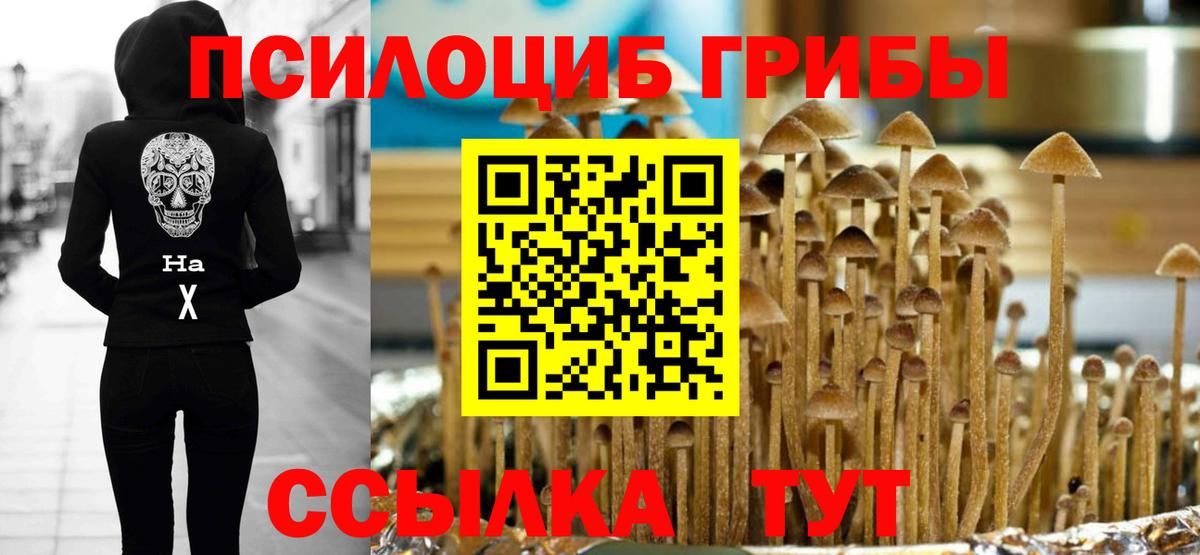 Псилоцибиновые грибы Psilocybe  Вход с VPN  Нягань 