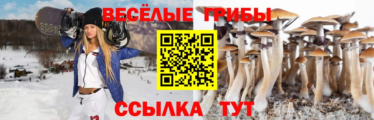 Галлюциногенные грибы MAGIC MUSHROOMS Нягань